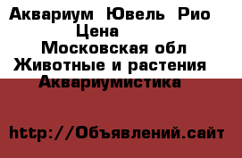 Аквариум. Ювель. Рио-240 › Цена ­ 7 000 - Московская обл. Животные и растения » Аквариумистика   